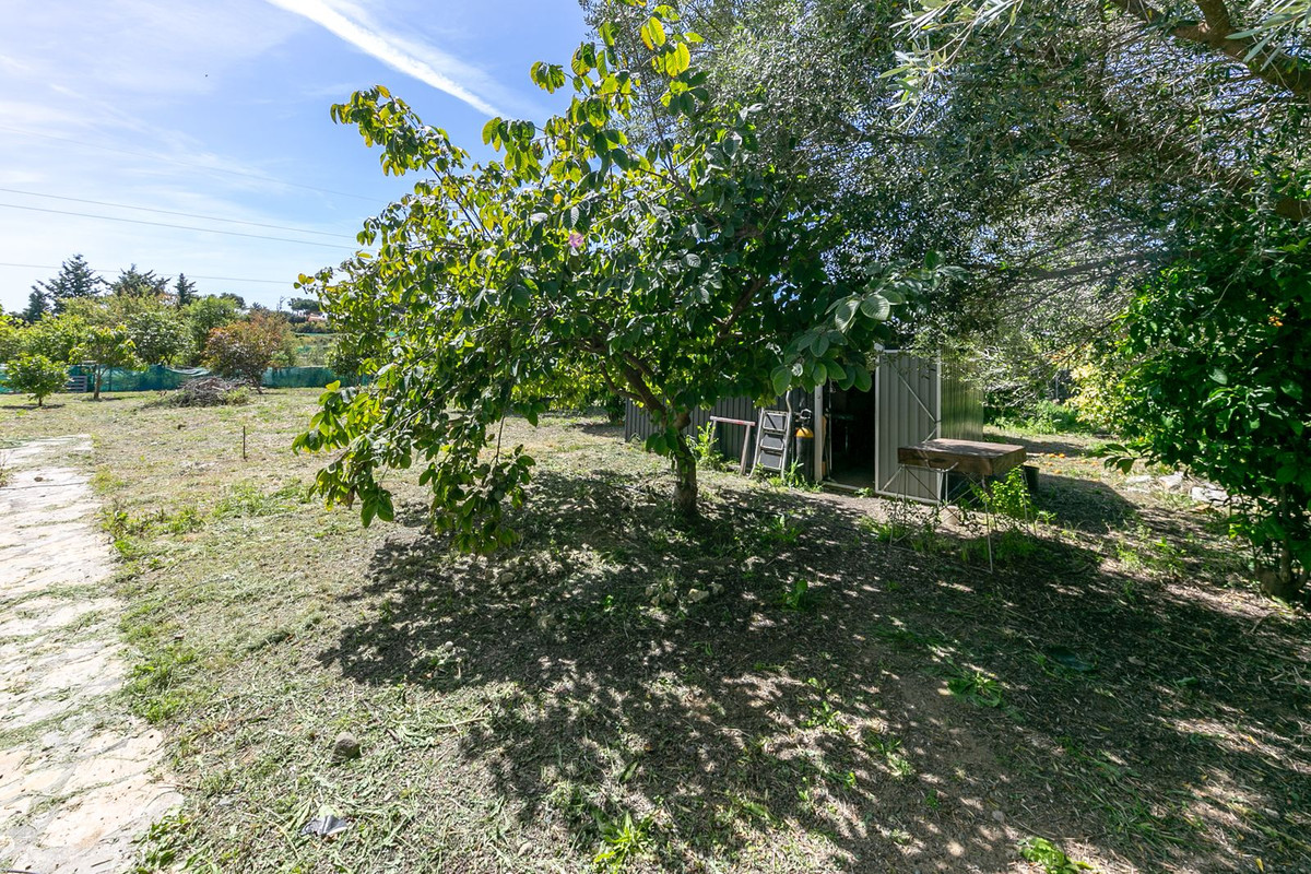 Property main view 50
