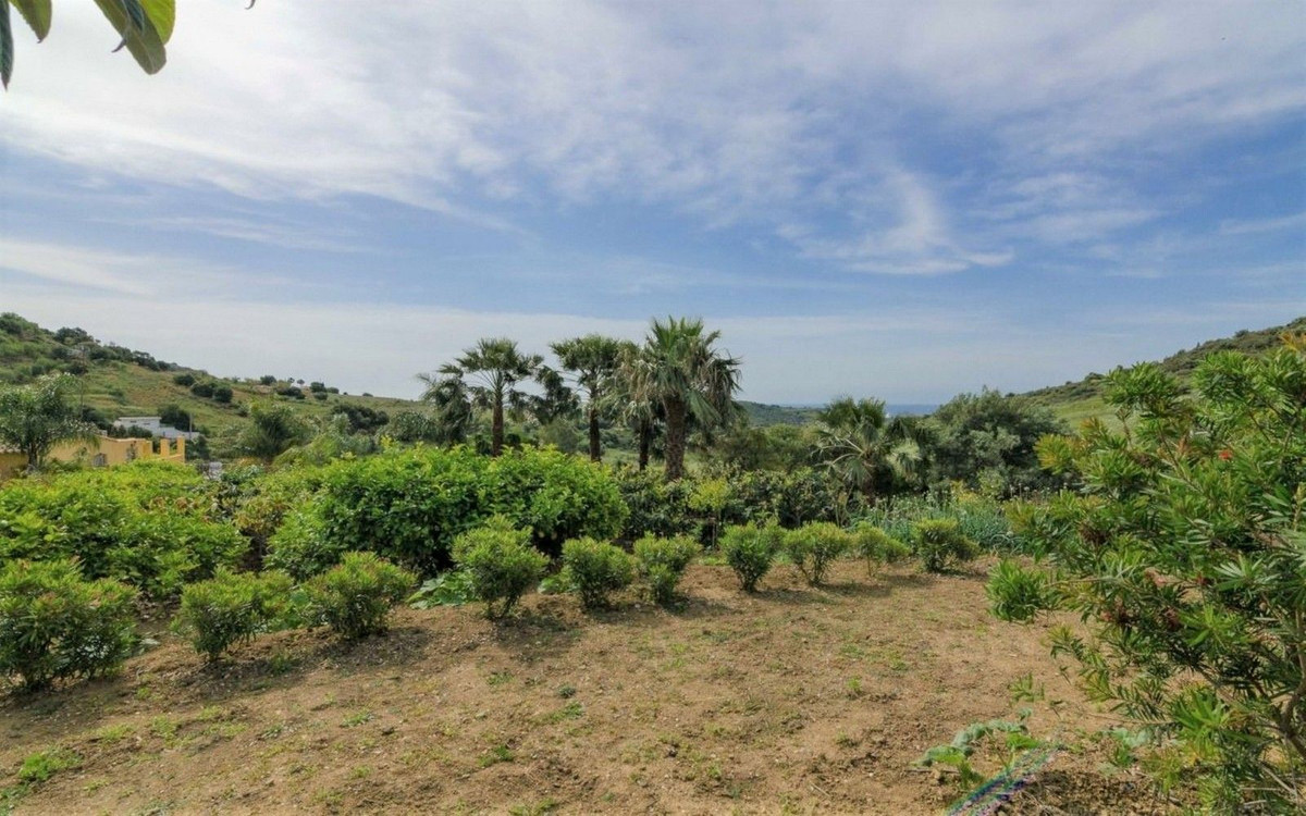 Property main view 25