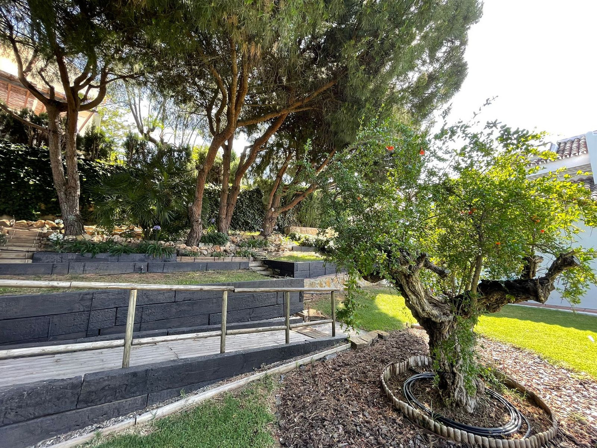 Property main view 49