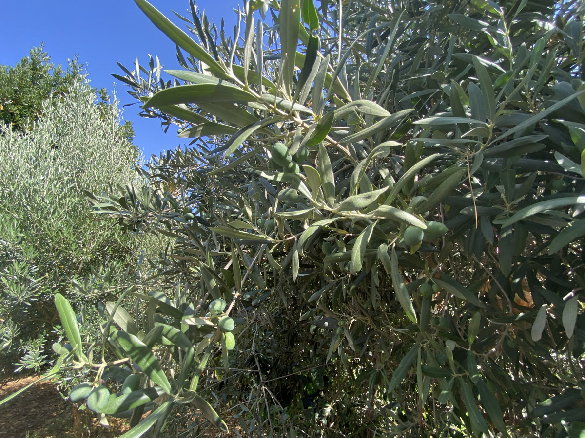 Property main view 20