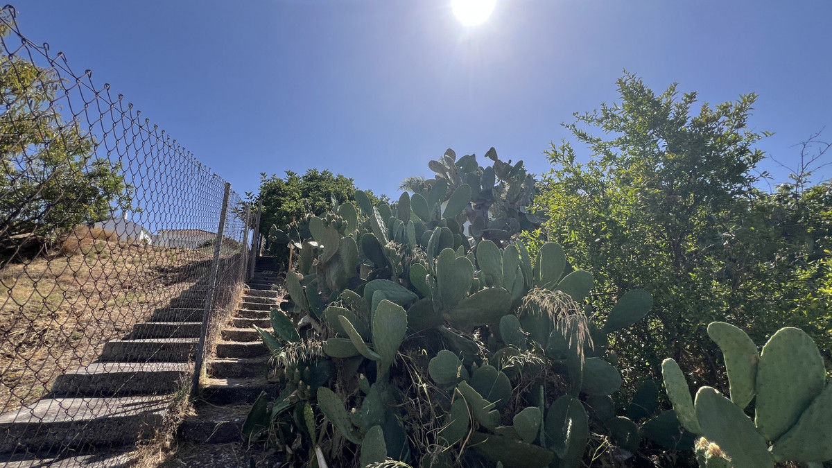 Property main view 26