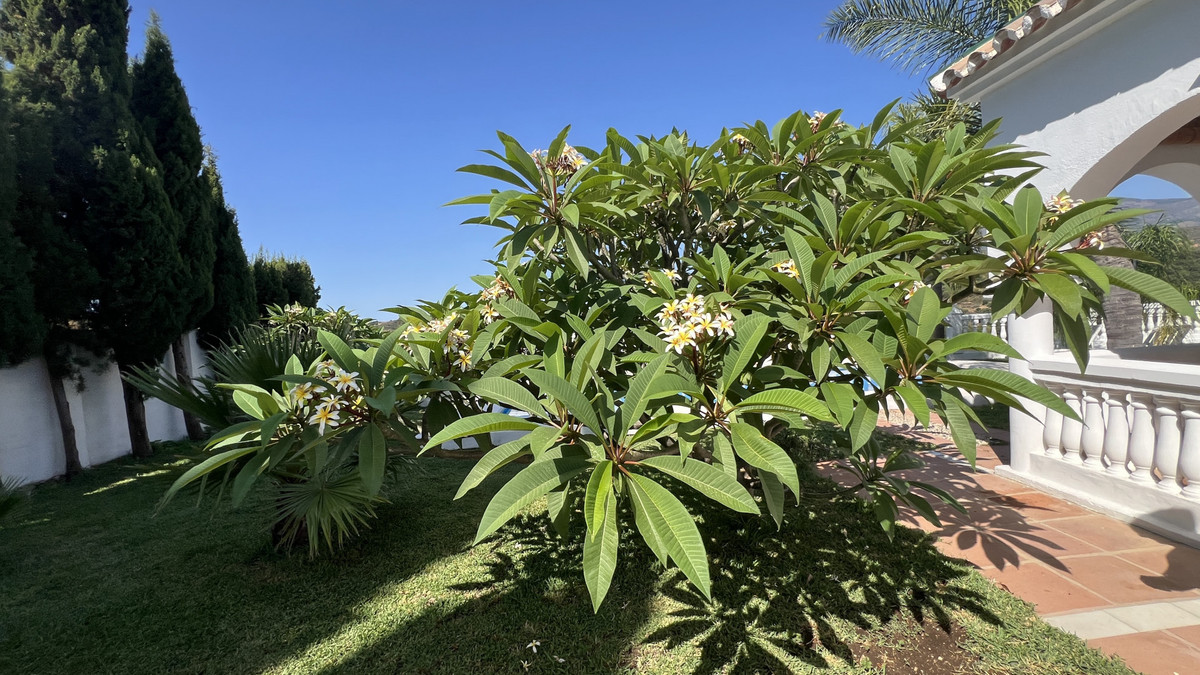 Property main view 29