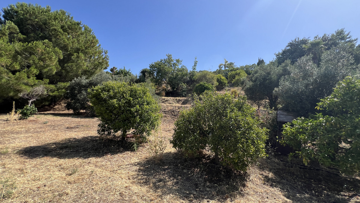 Property main view 30