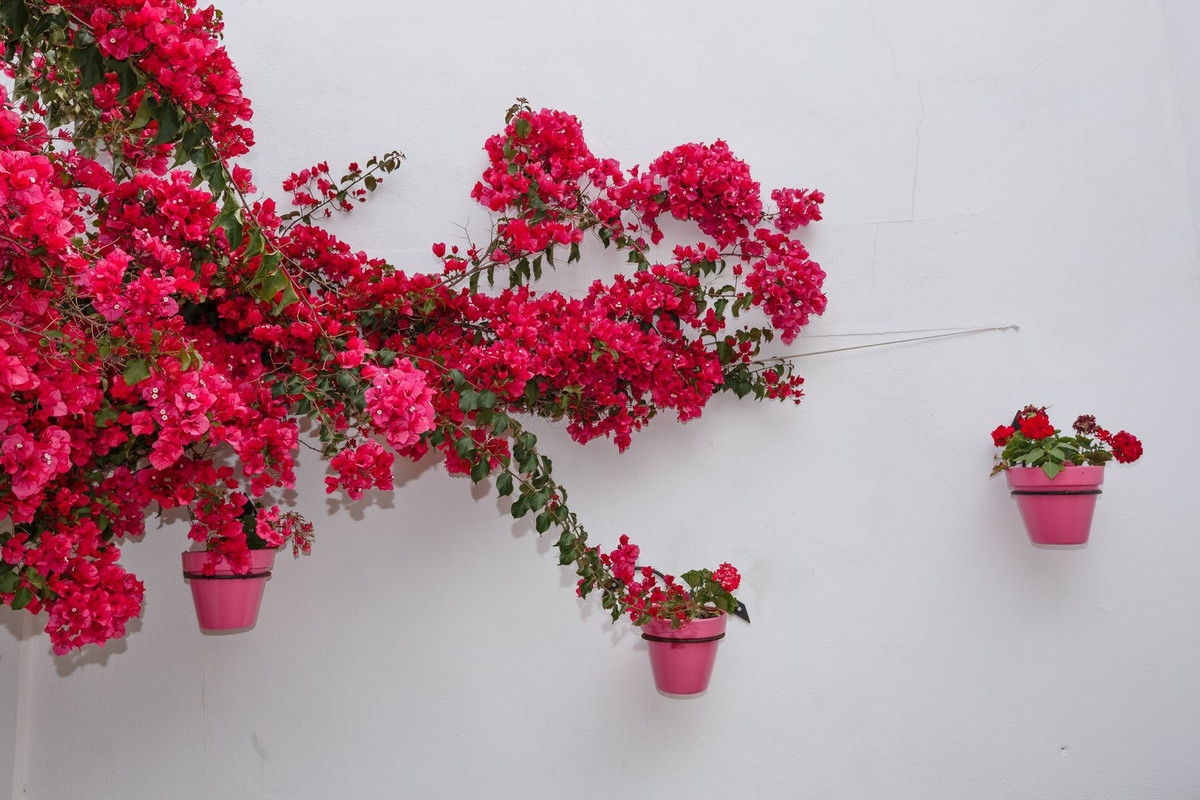 Huis te koop in Estepona | 4 slaapkamers H5123968