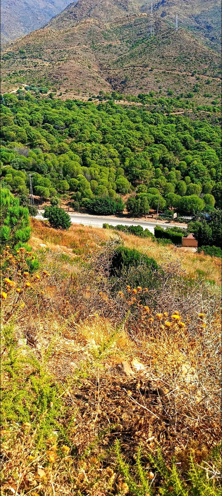 Property main view 5