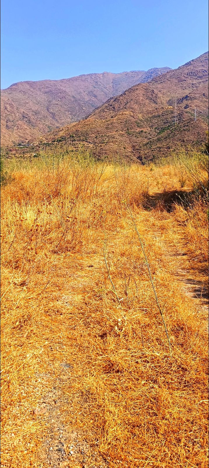 Property main view 6