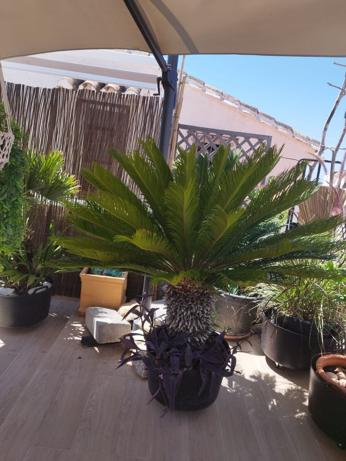 Property main view 31