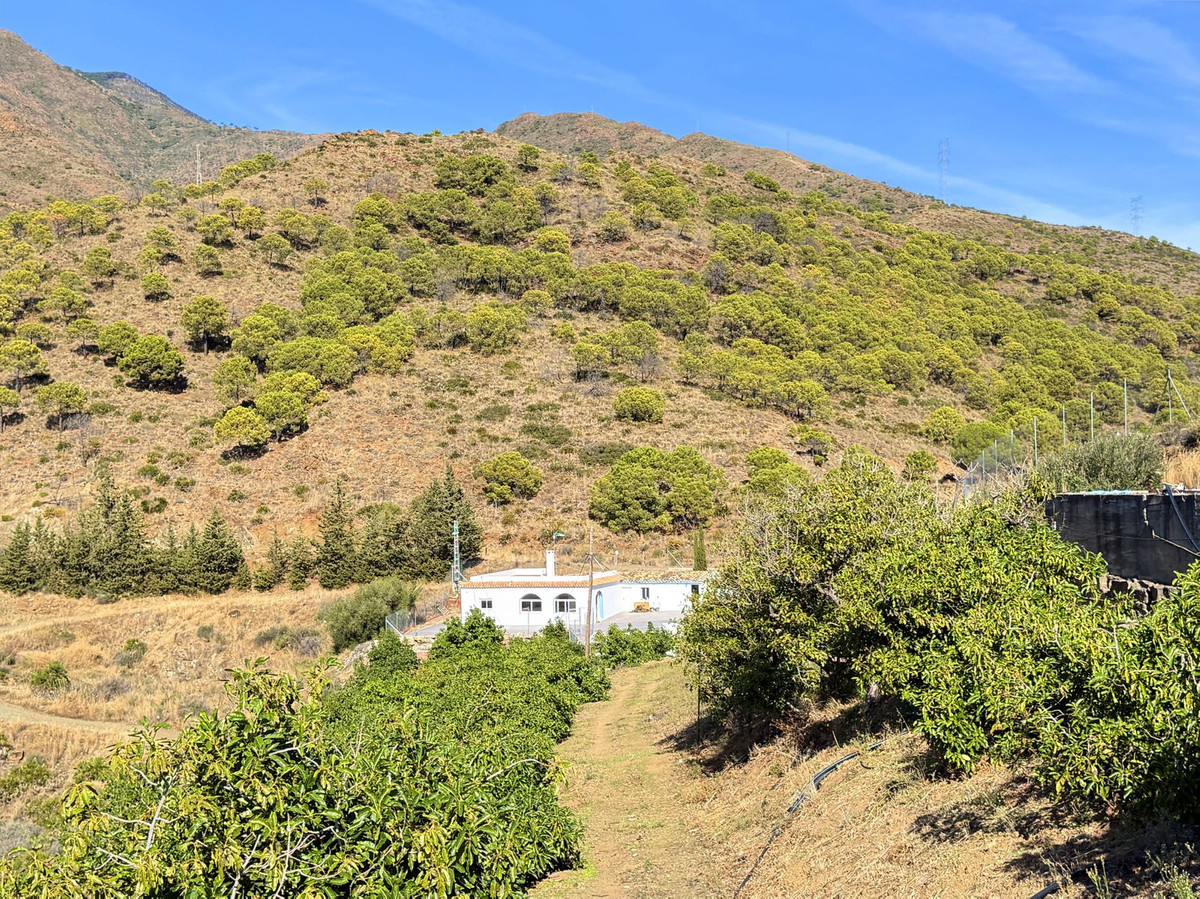 Property main view 11