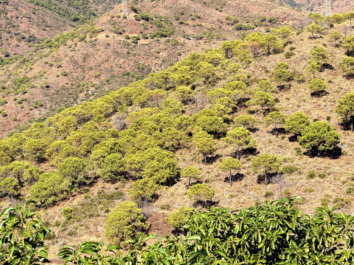 Property main view 39