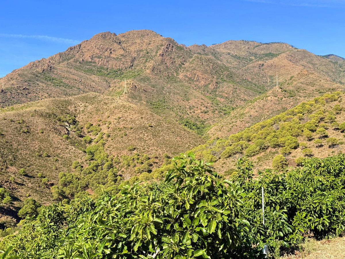 Property main view 40