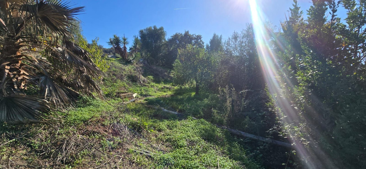 Property main view 6