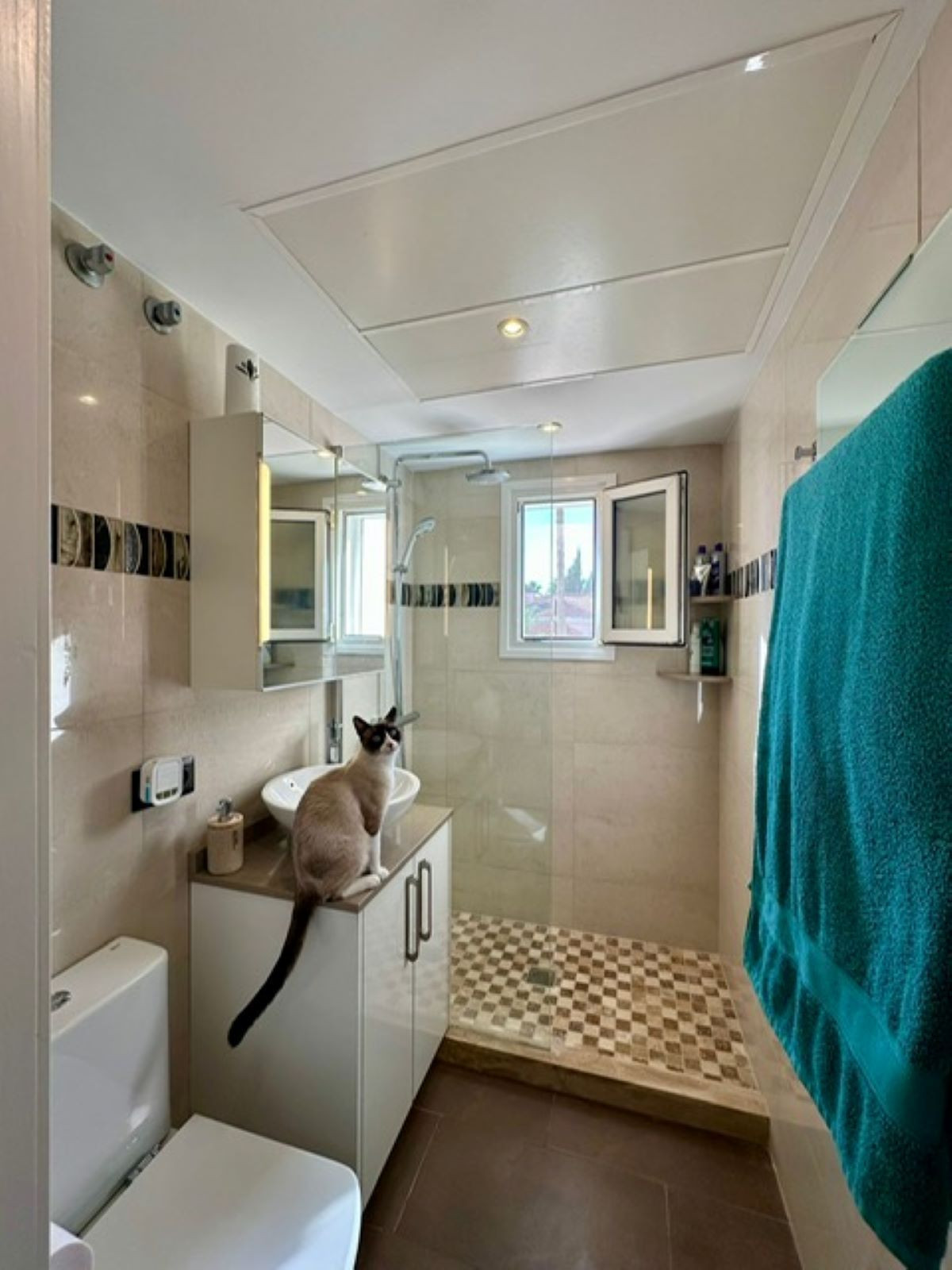 Property main view 16