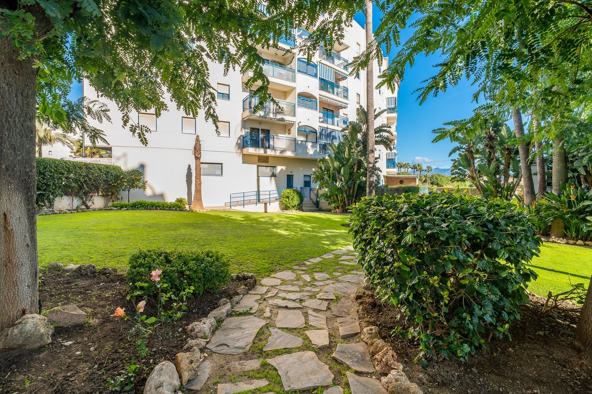 Property main view 66