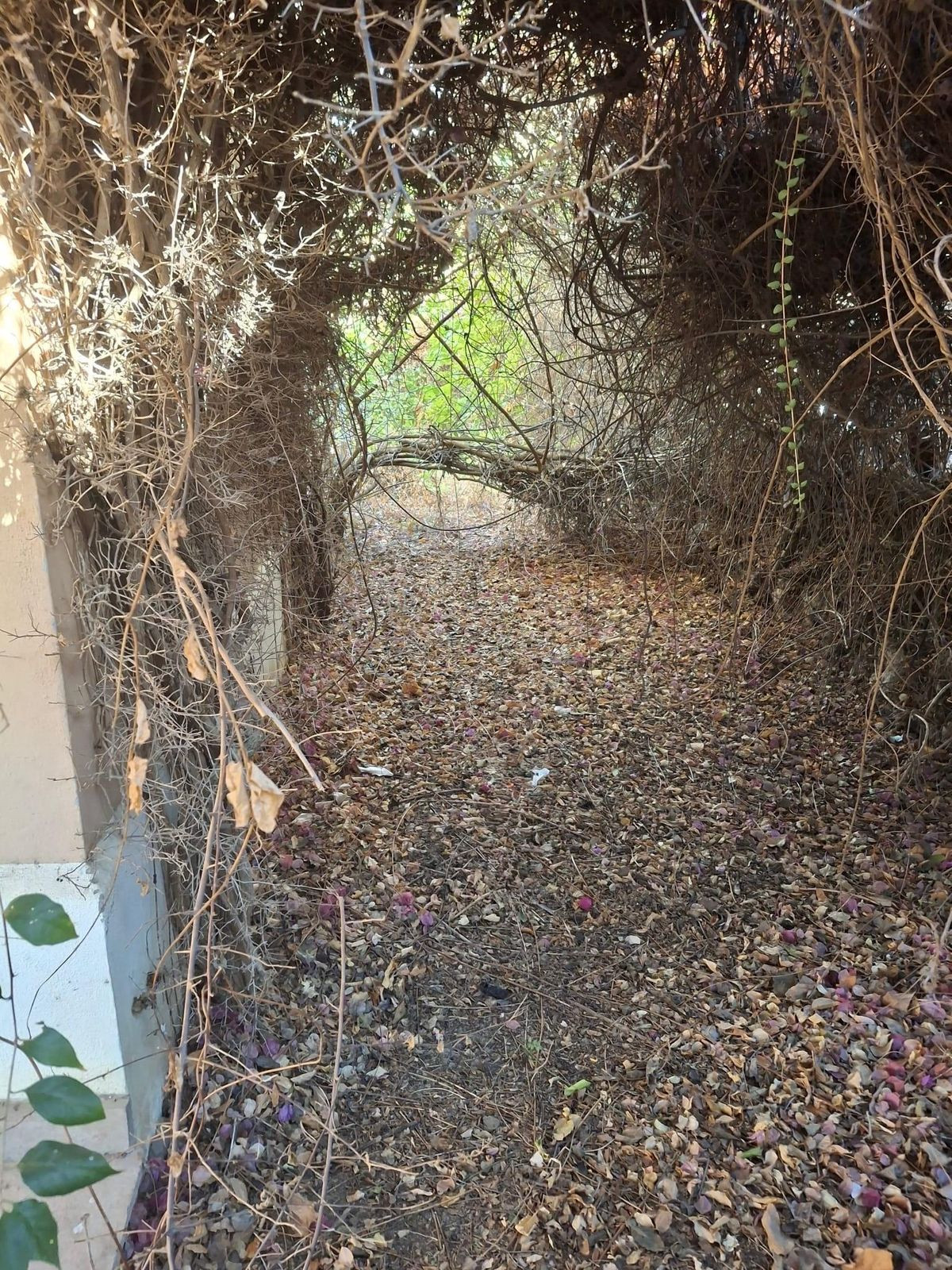 Huis te koop in Estepona | 5 slaapkamers H5322451