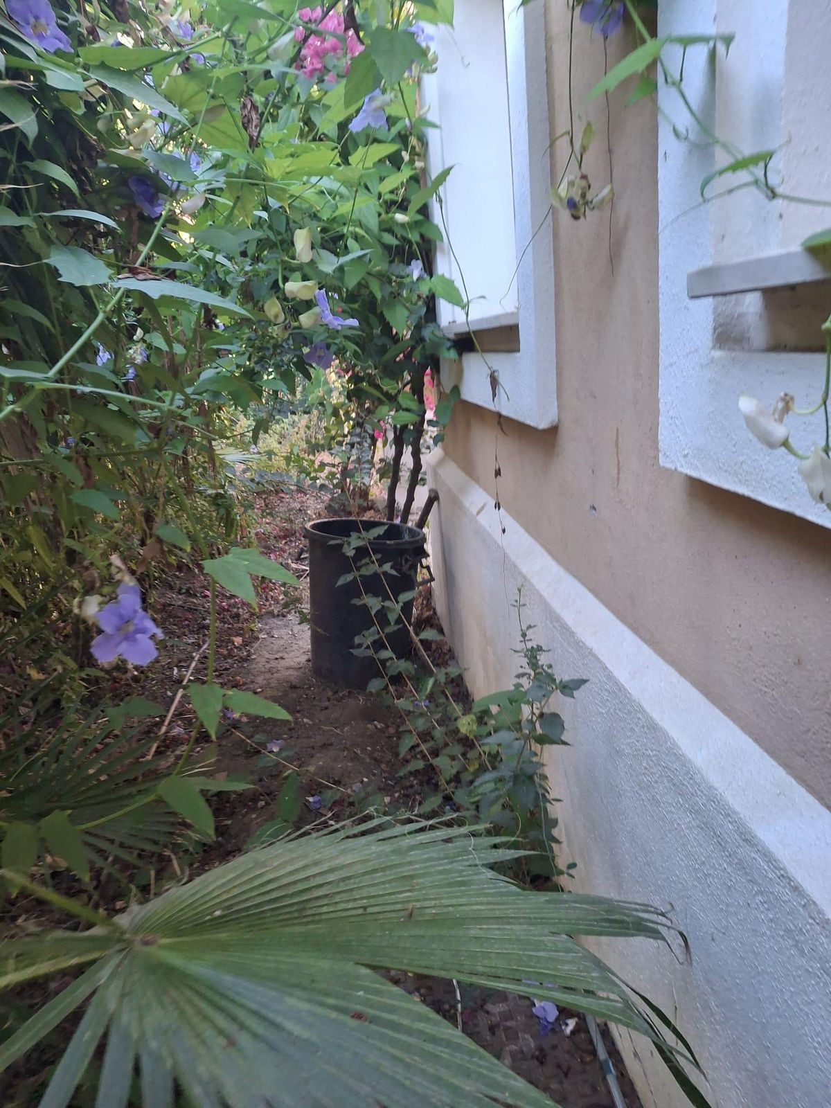 Huis te koop in Estepona | 5 slaapkamers H5322451