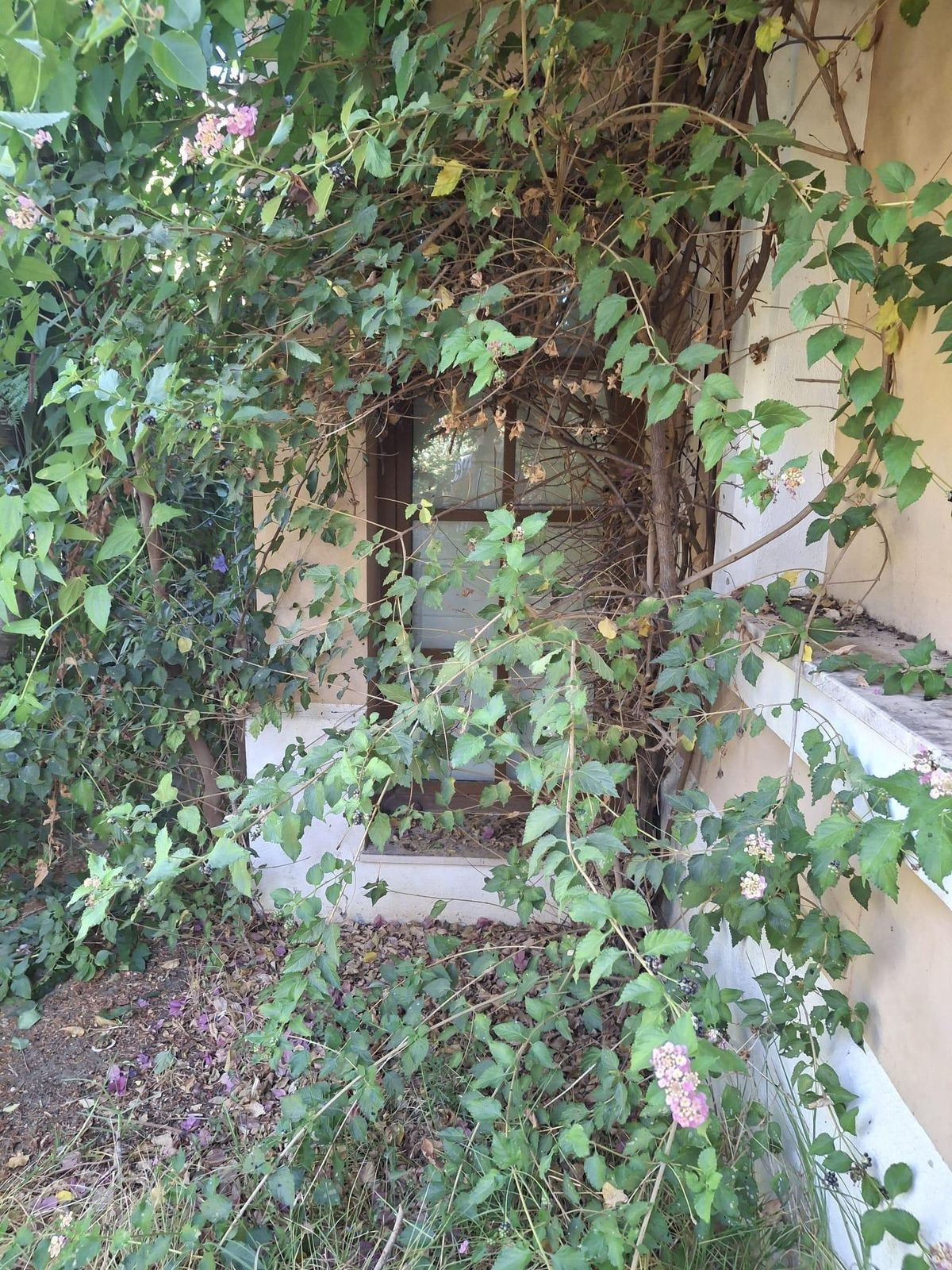 Huis te koop in Estepona | 5 slaapkamers H5322451