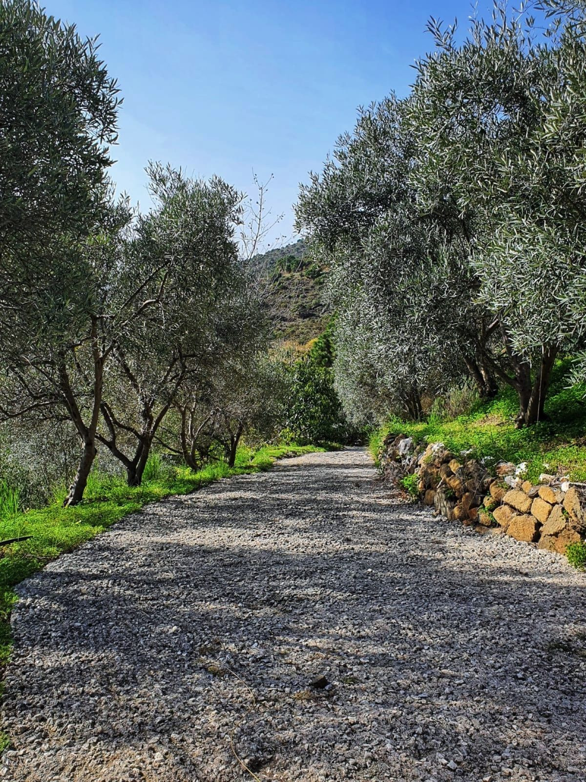 Huis te koop in Estepona | 5 slaapkamers H5330617