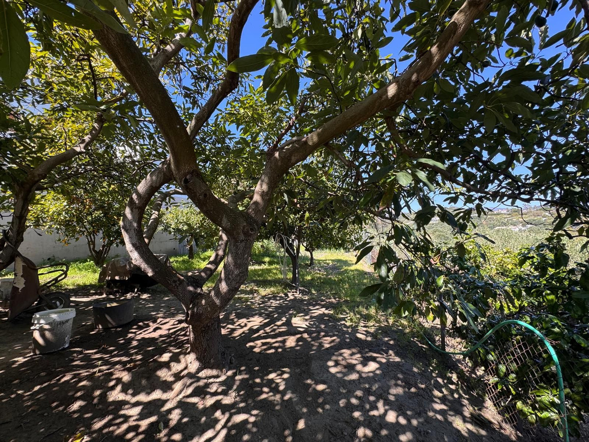 Huis te koop in Estepona | 4 slaapkamers H5336326