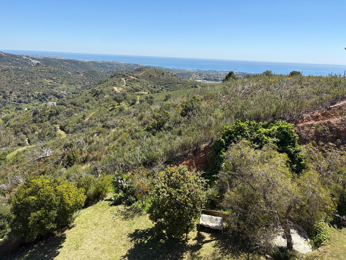 Property main view 34