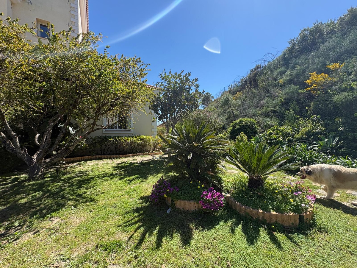 Property main view 50