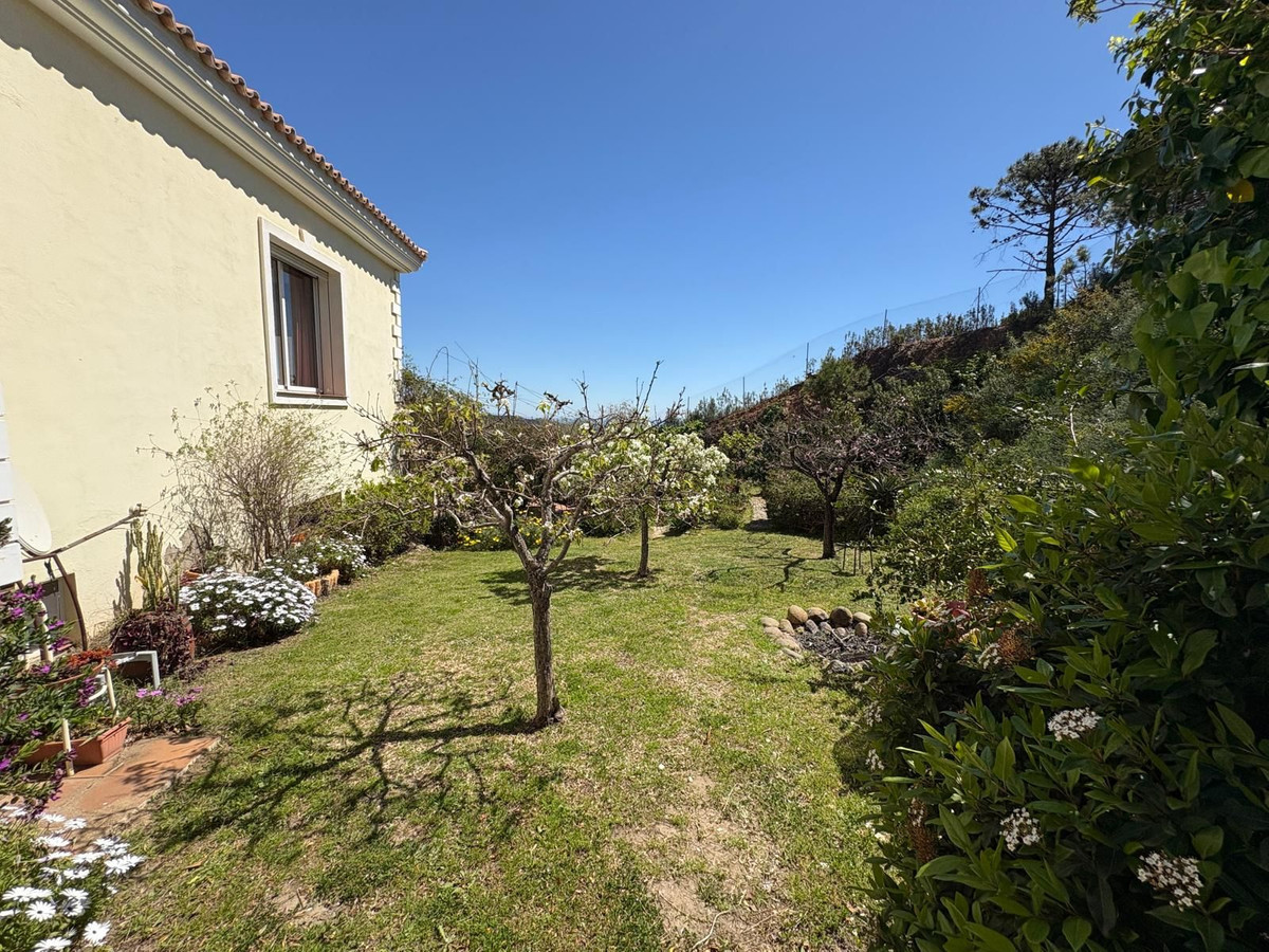 Property main view 63