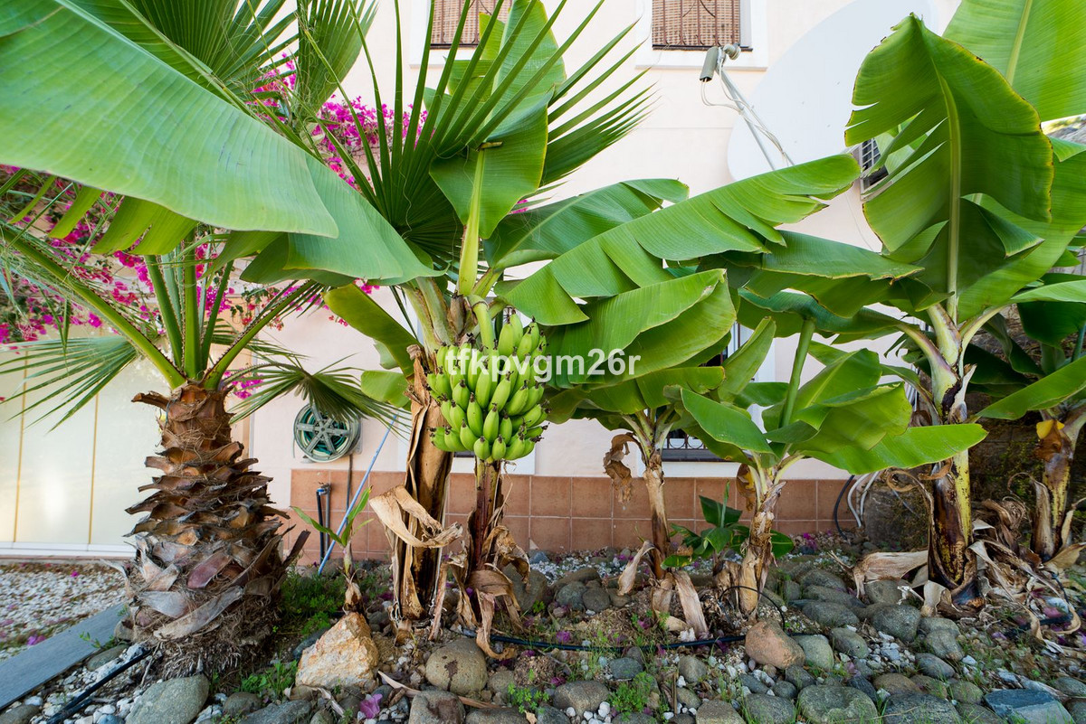 Huis te koop in Estepona | 7 slaapkamers H5354326