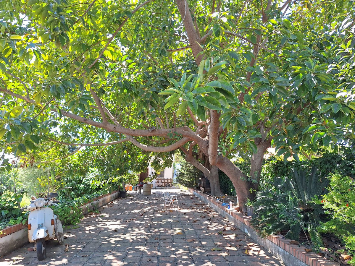 Finca - Cortijo te koop in Estepona | 3 slaapkamers H5354524