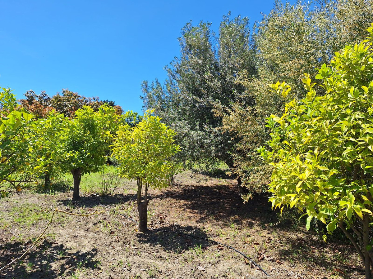 Finca - Cortijo te koop in Estepona | 3 slaapkamers H5354524