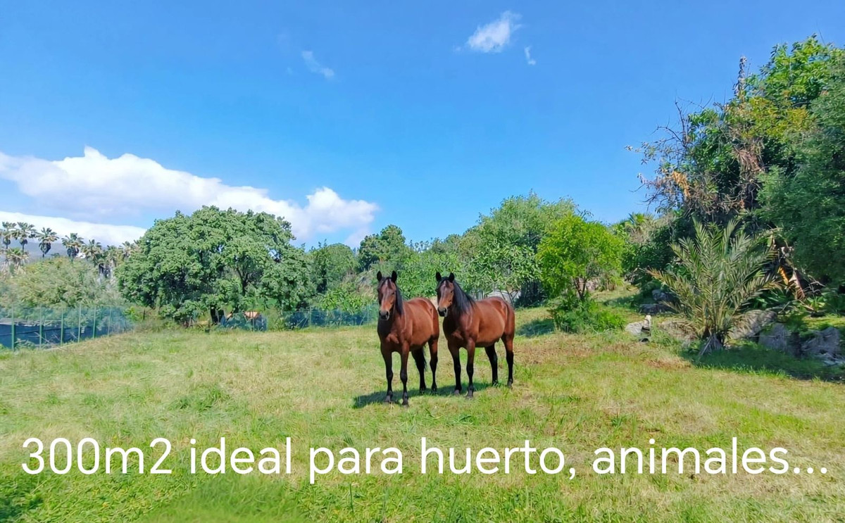 Huis te koop in Estepona | 5 slaapkamers H5358481