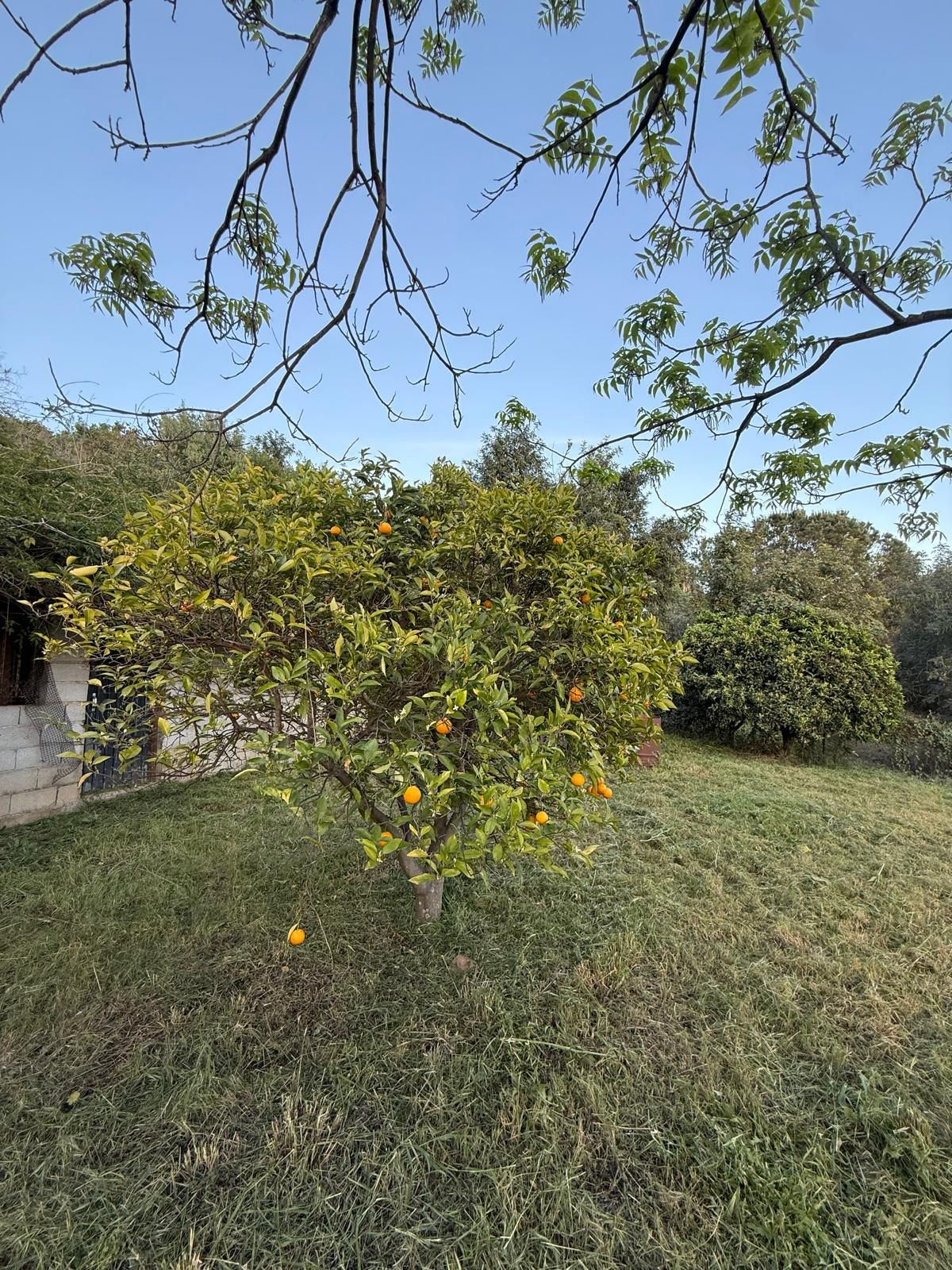 Huis te koop in Estepona | 3 slaapkamers H5362492