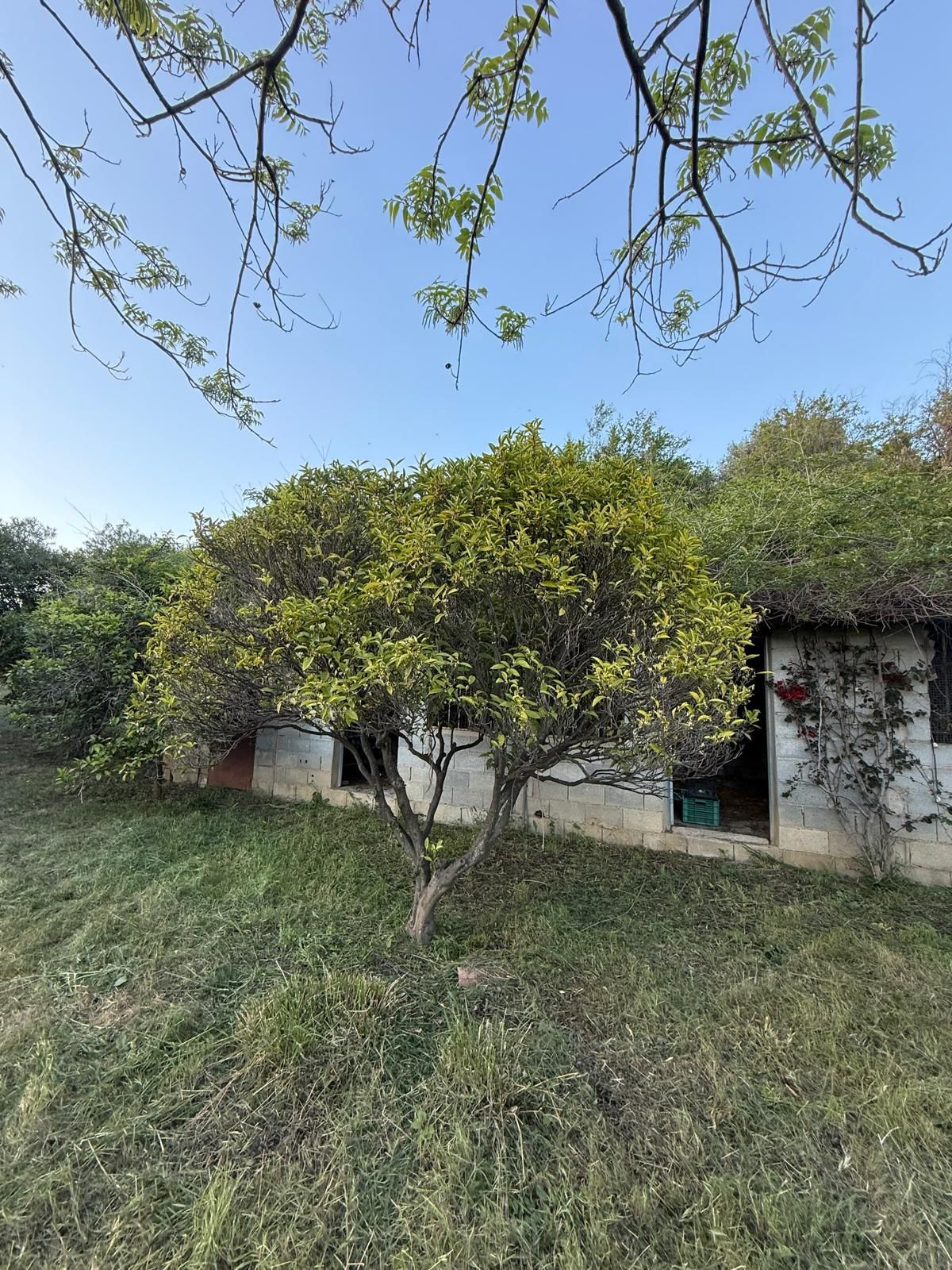 Huis te koop in Estepona | 3 slaapkamers H5362492