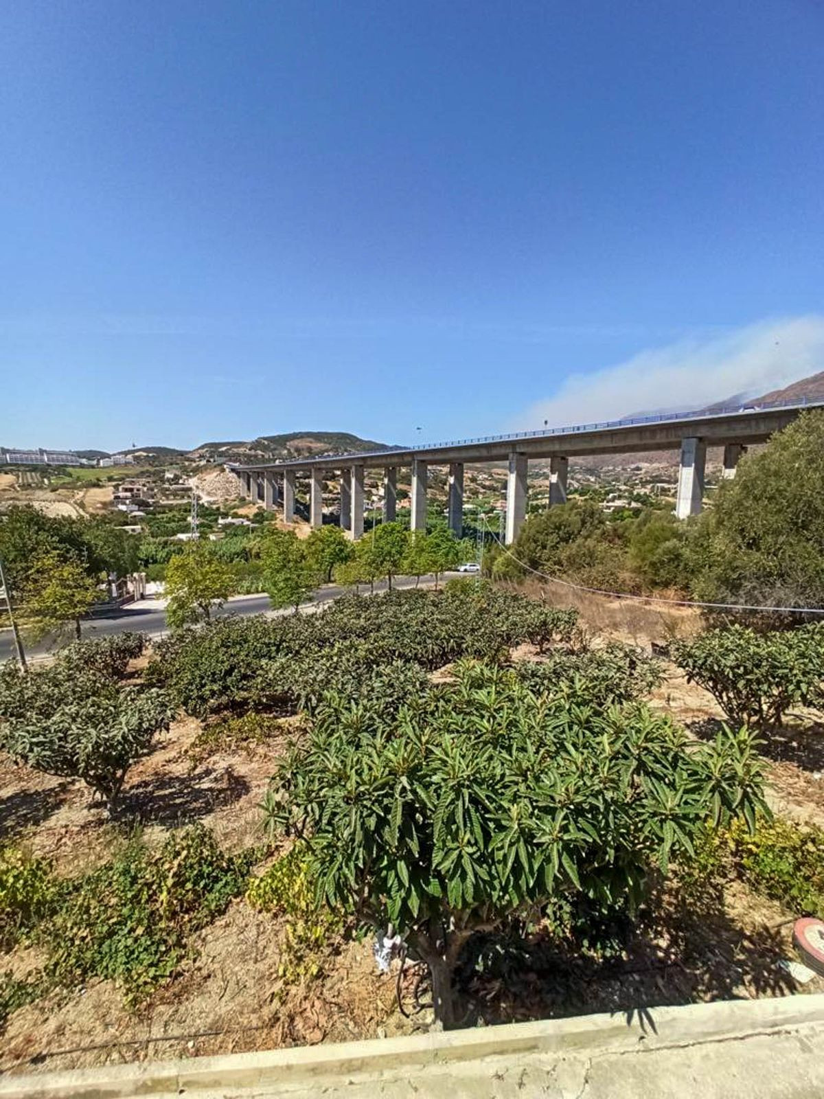 Finca - Cortijo te koop in Estepona | 3 slaapkamers H5365786