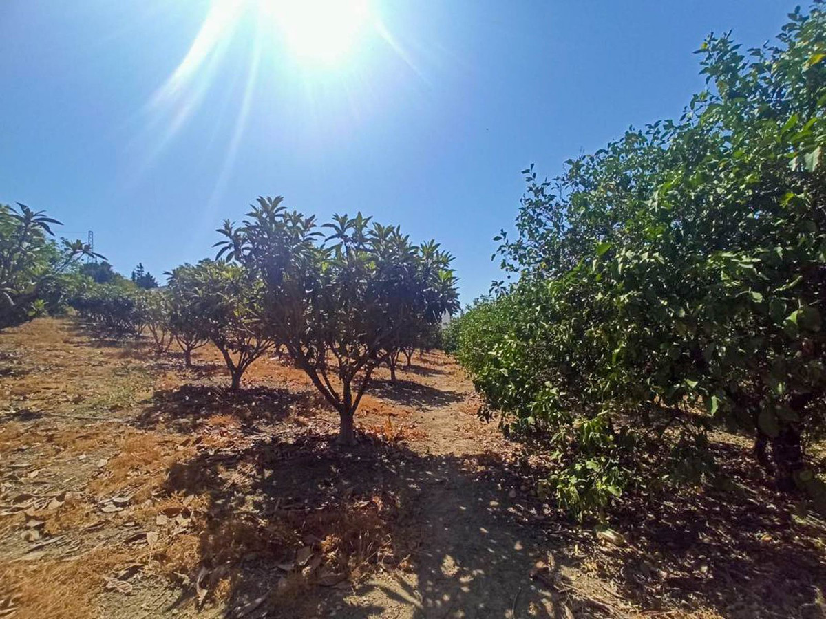 Finca - Cortijo te koop in Estepona | 3 slaapkamers H5365786