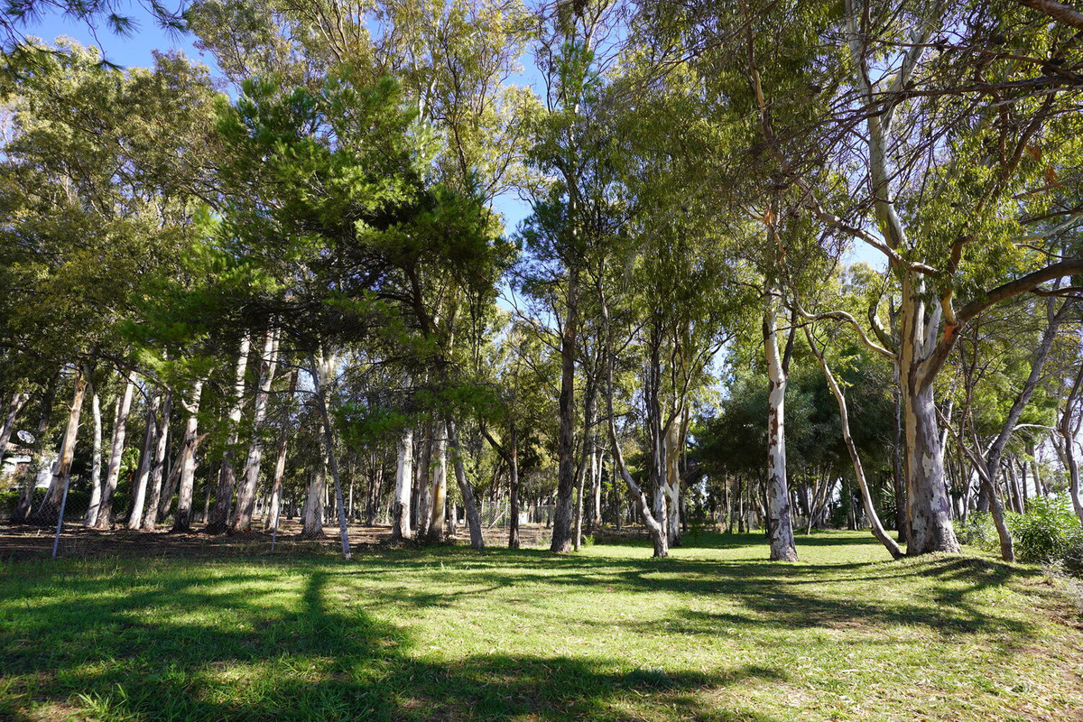 Property main view 39
