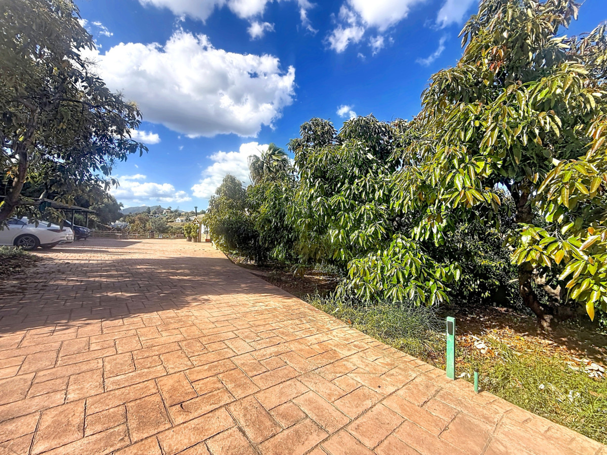 Property main view 39