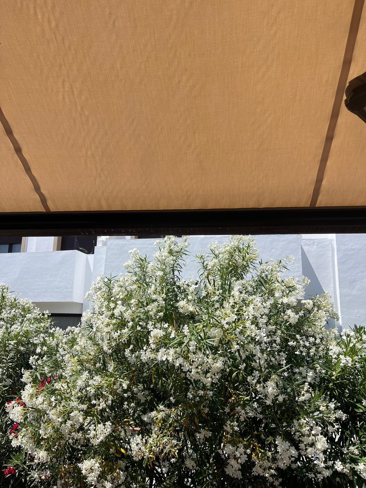 Huis te koop in Estepona | 3 slaapkamers H5427826