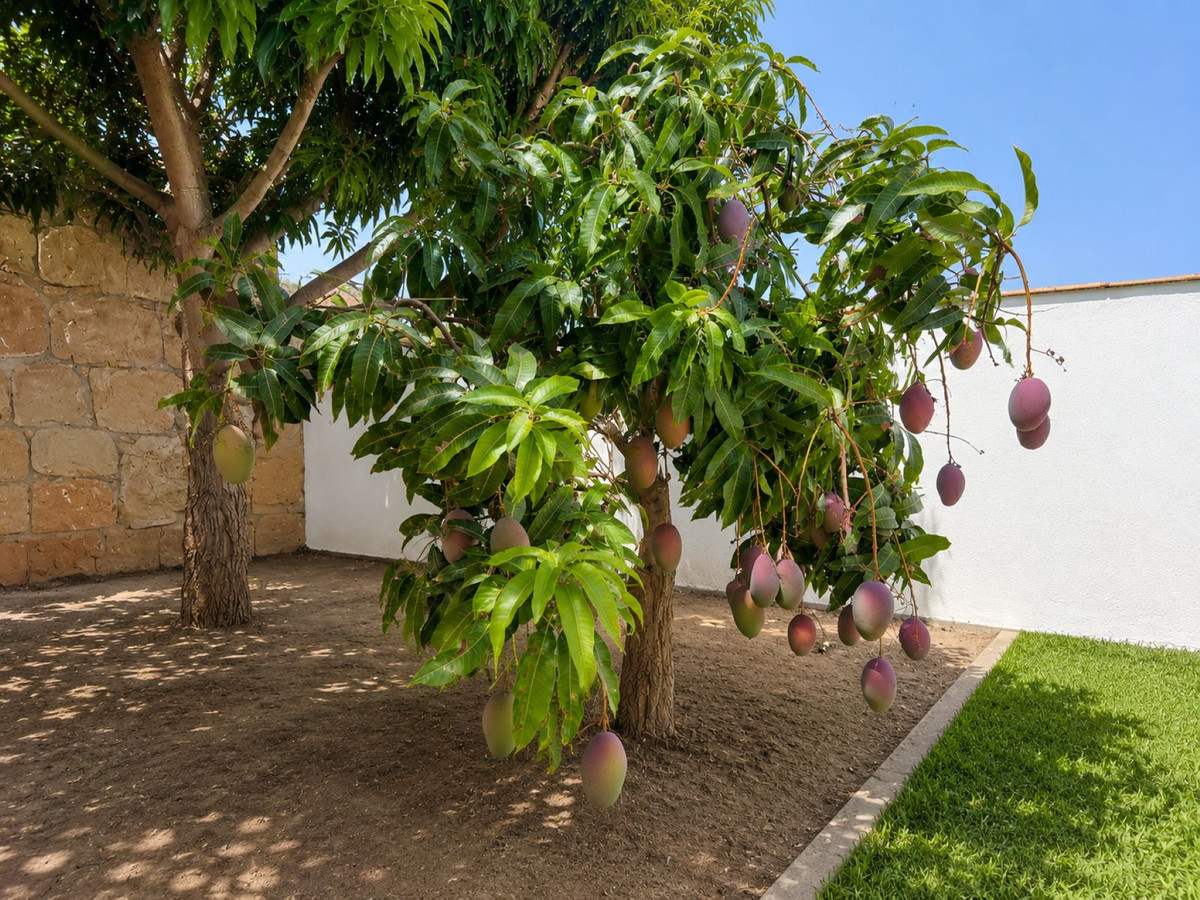 Huis te koop in Estepona | 3 slaapkamers H5453491