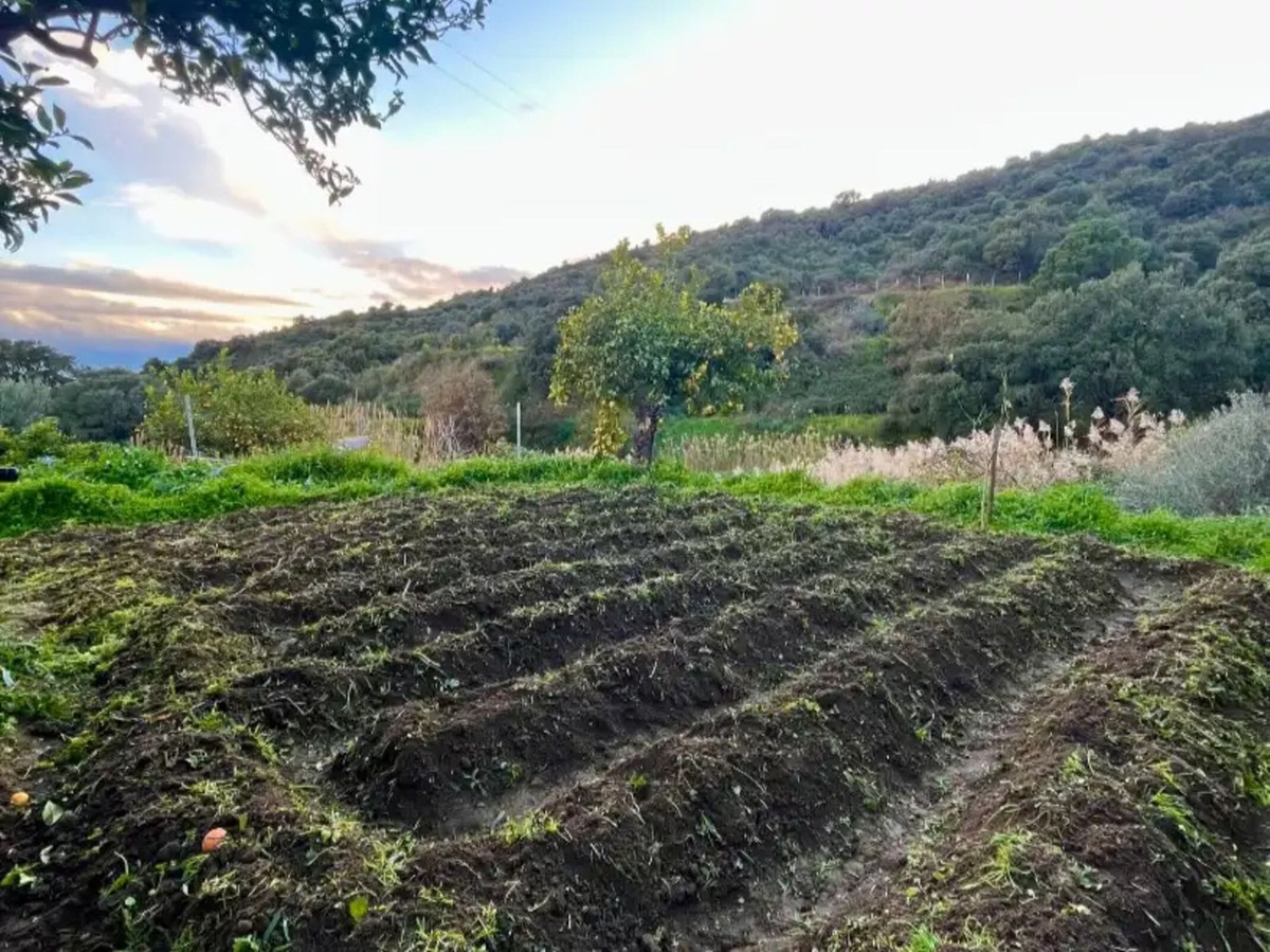 Finca - Cortijo te koop in Estepona | 3 slaapkamers H5459608