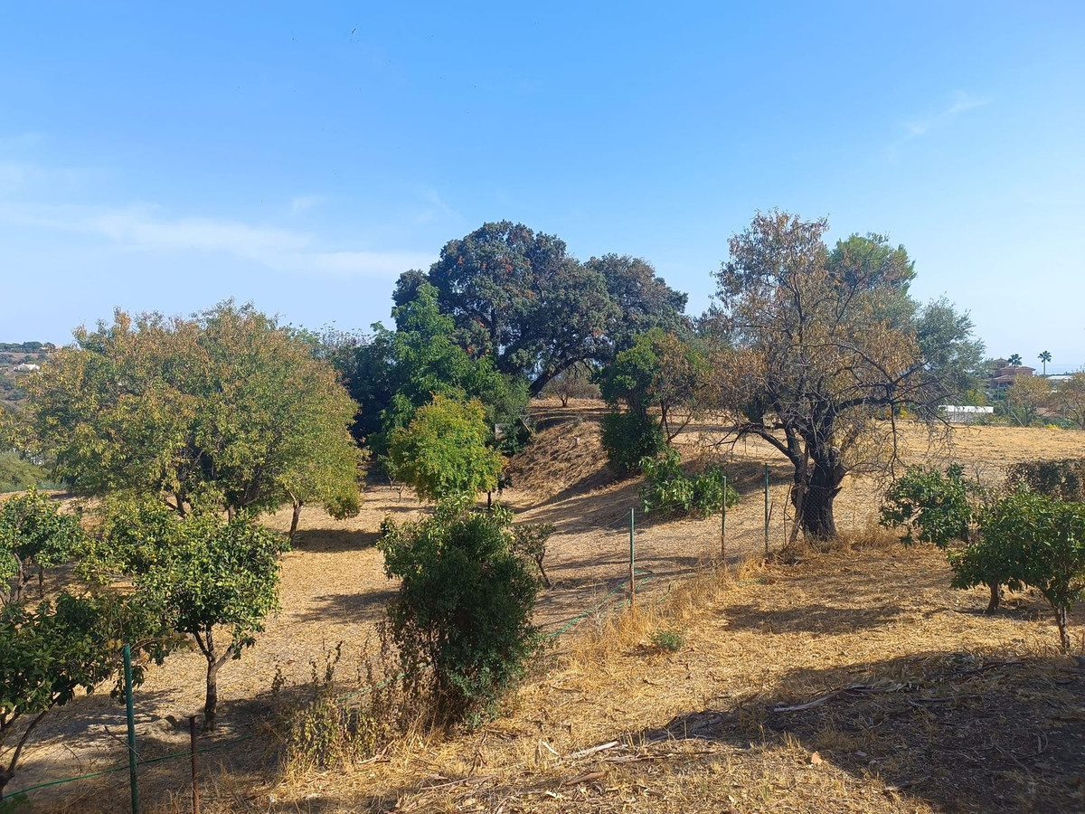 Finca - Cortijo te koop in Estepona | 1 slaapkamers H5478064