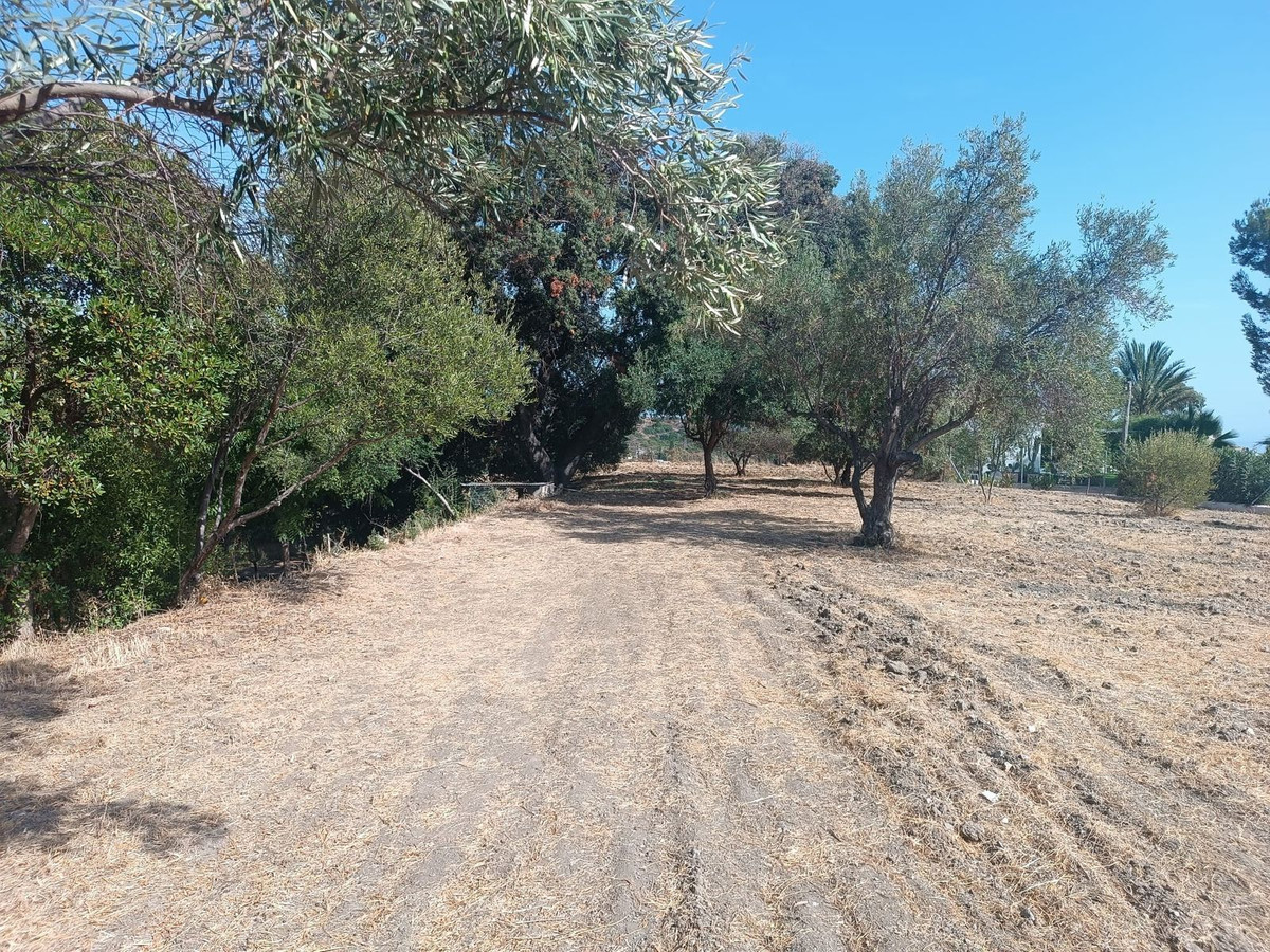 Finca - Cortijo te koop in Estepona | 1 slaapkamers H5478064