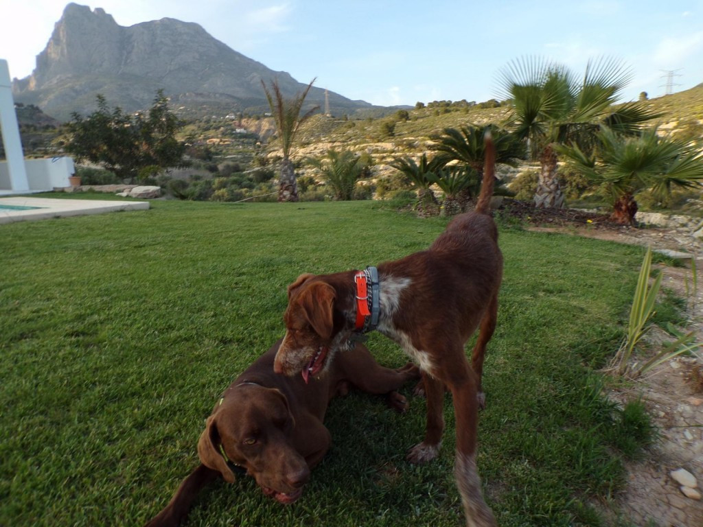 Property main view 8