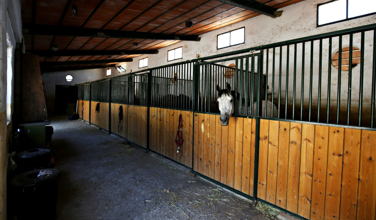 Property main view 21