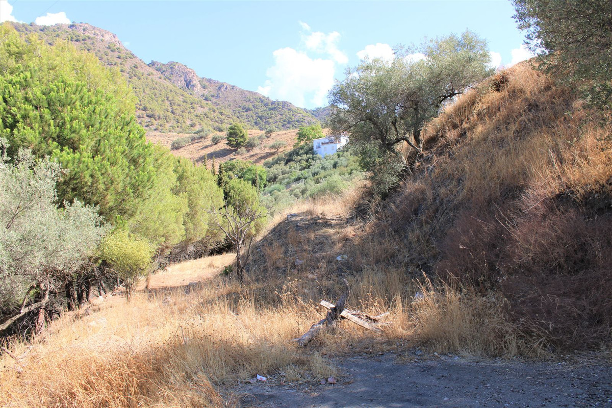 Property main view 42