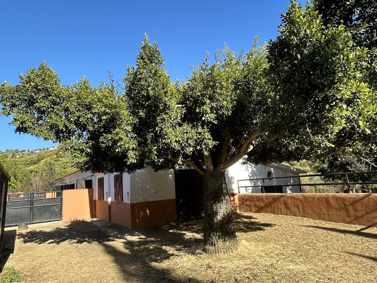 Property main view 105