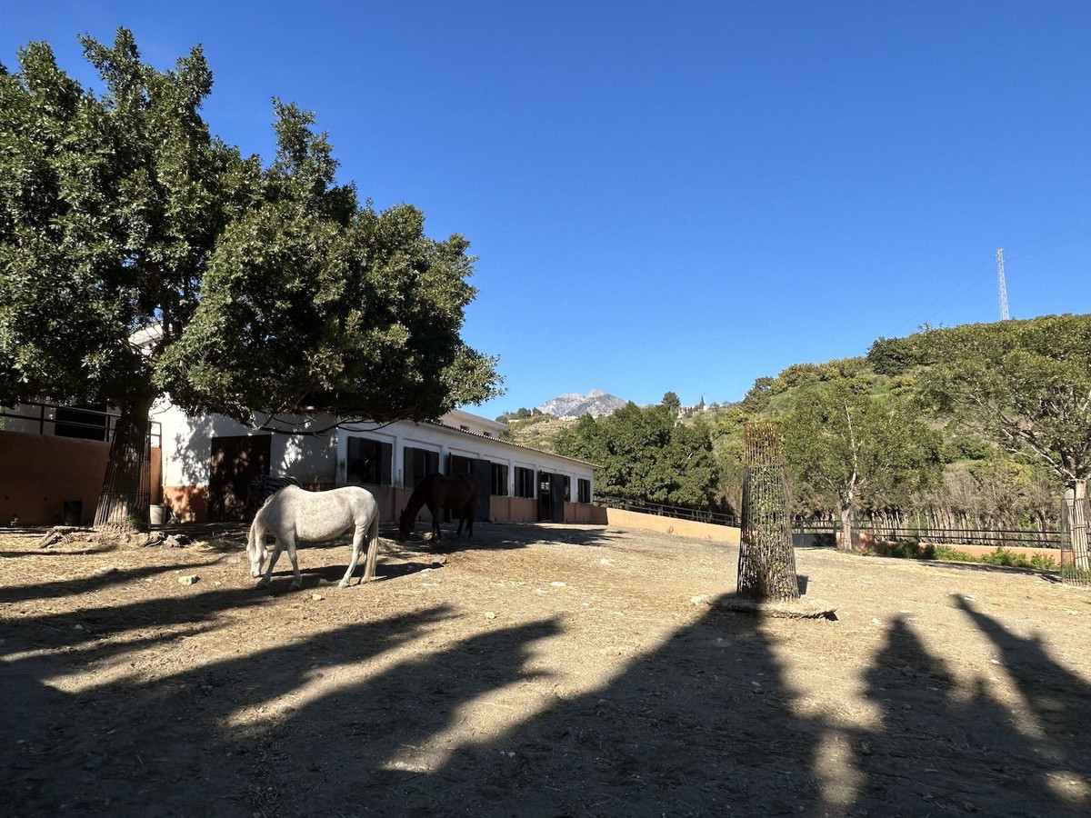 Property main view 106