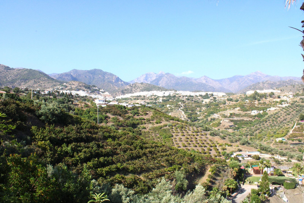 Finca - Cortijo in Frigiliana-32