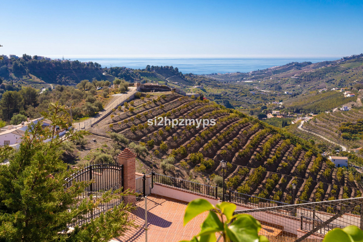 Vrijstaande Villa in Frigiliana-16