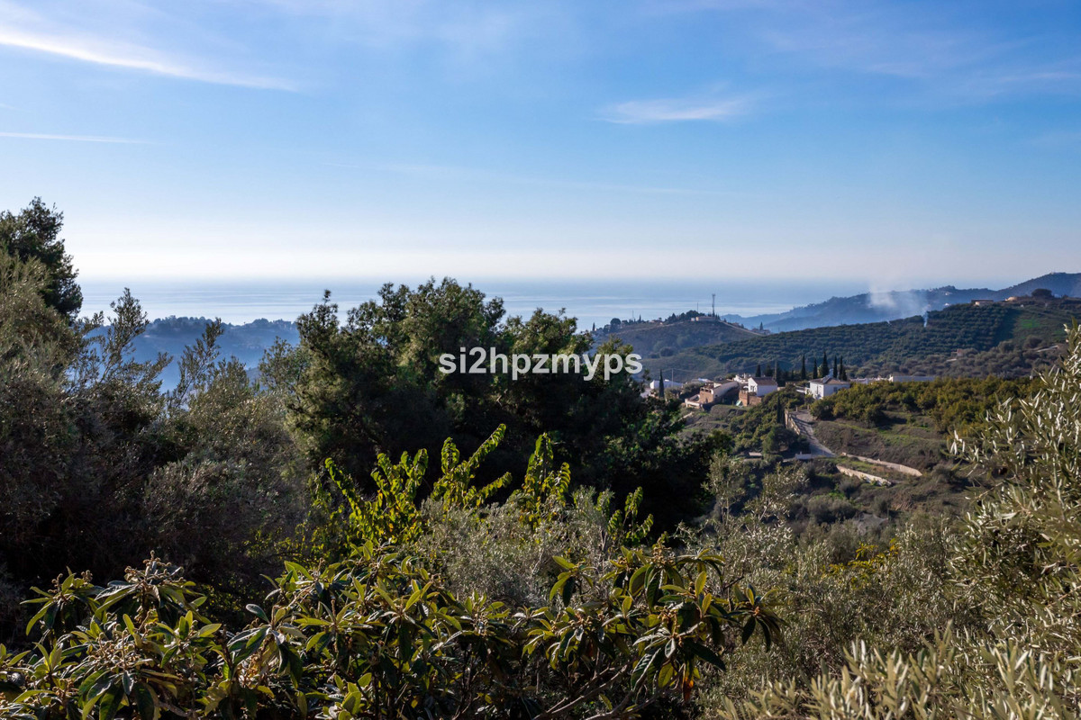 Vrijstaande Villa in Frigiliana-19