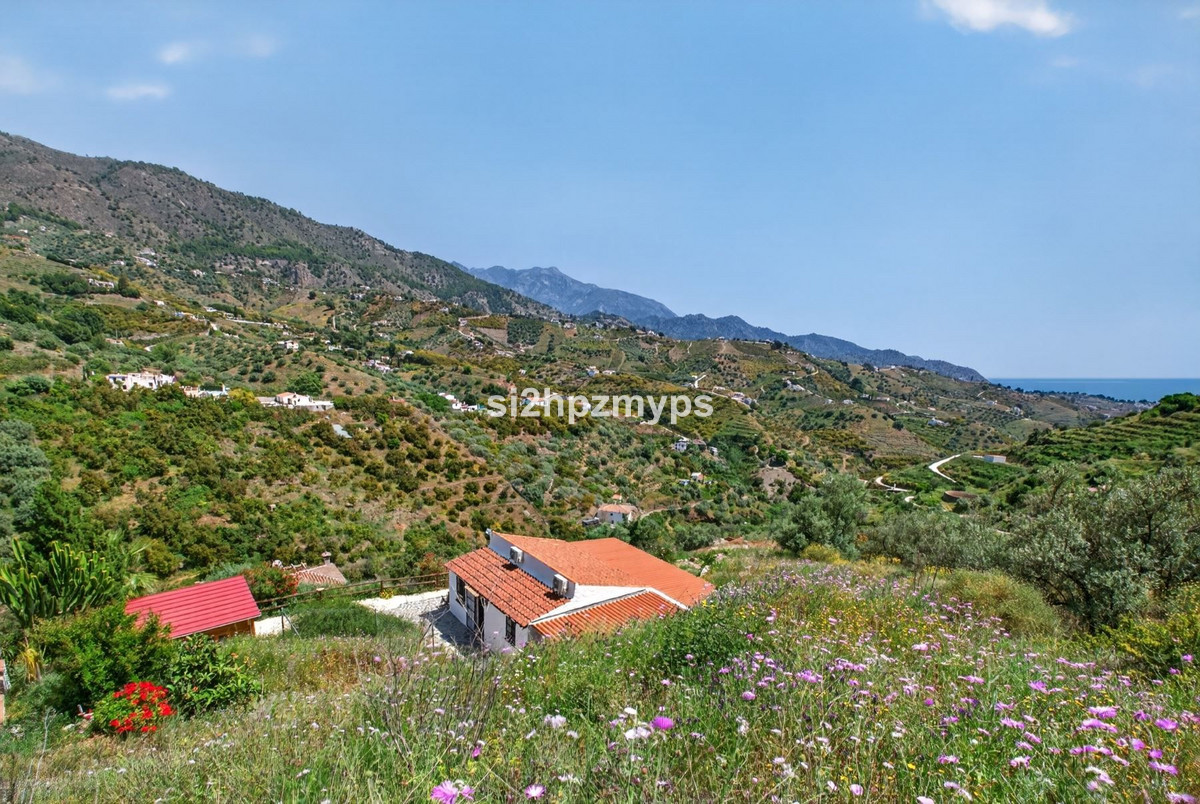 Property main view 26