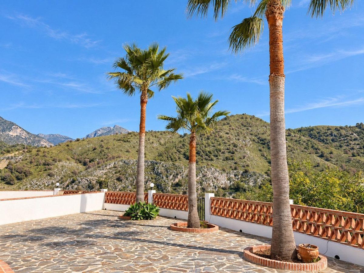 Property main view 51